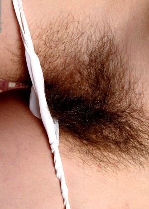 Atkkingdom Gina Cutting Edge Hairy Beaver Program