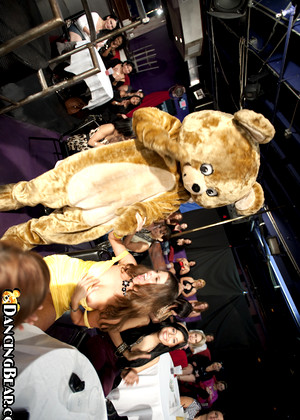 Dancingbear Dancingbear Model Popular Party Porncam