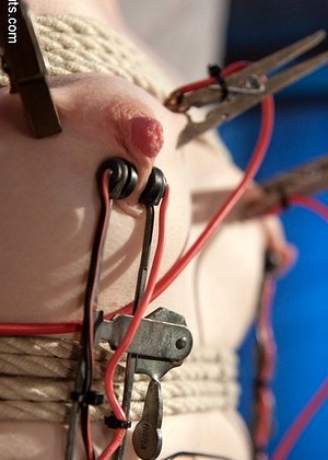 Electrosluts Daisy Ducati Dresden Dedicated Lesbians Porn Vod