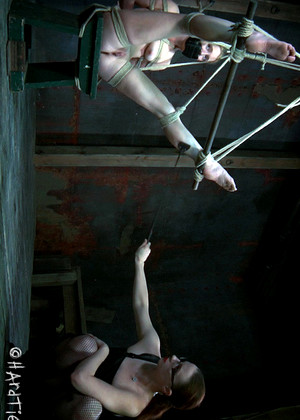 Hardtied Hardtied Model December Extreme Bondage Resort