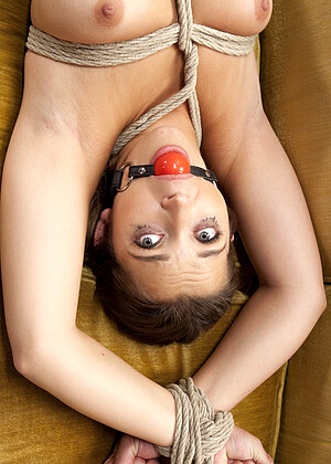 hogtied Dani Daniels pics