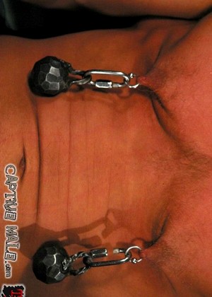 Captivemale Harmony Rose Valuable Bdsm Group