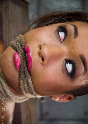 hardtied Skin Diamond pics