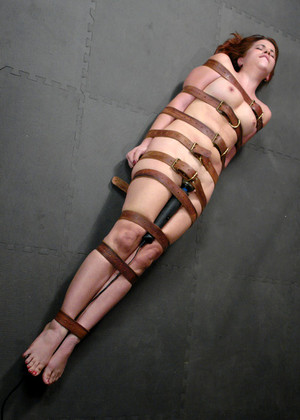 Hogtied Model jpg 3