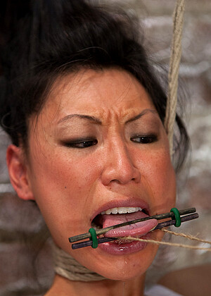 Hogtied Tia Ling Gallerie Asian Du