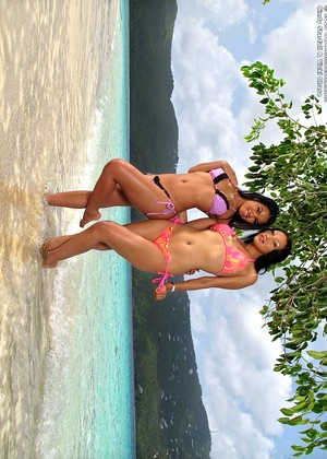 Inthecrack Vicki Chase Cindy Starfall Premium Bikini Girls Graphics