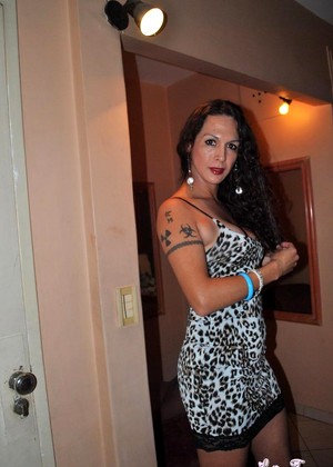 Latinatranny Latinatranny Model High Level Transsexual Pornimg